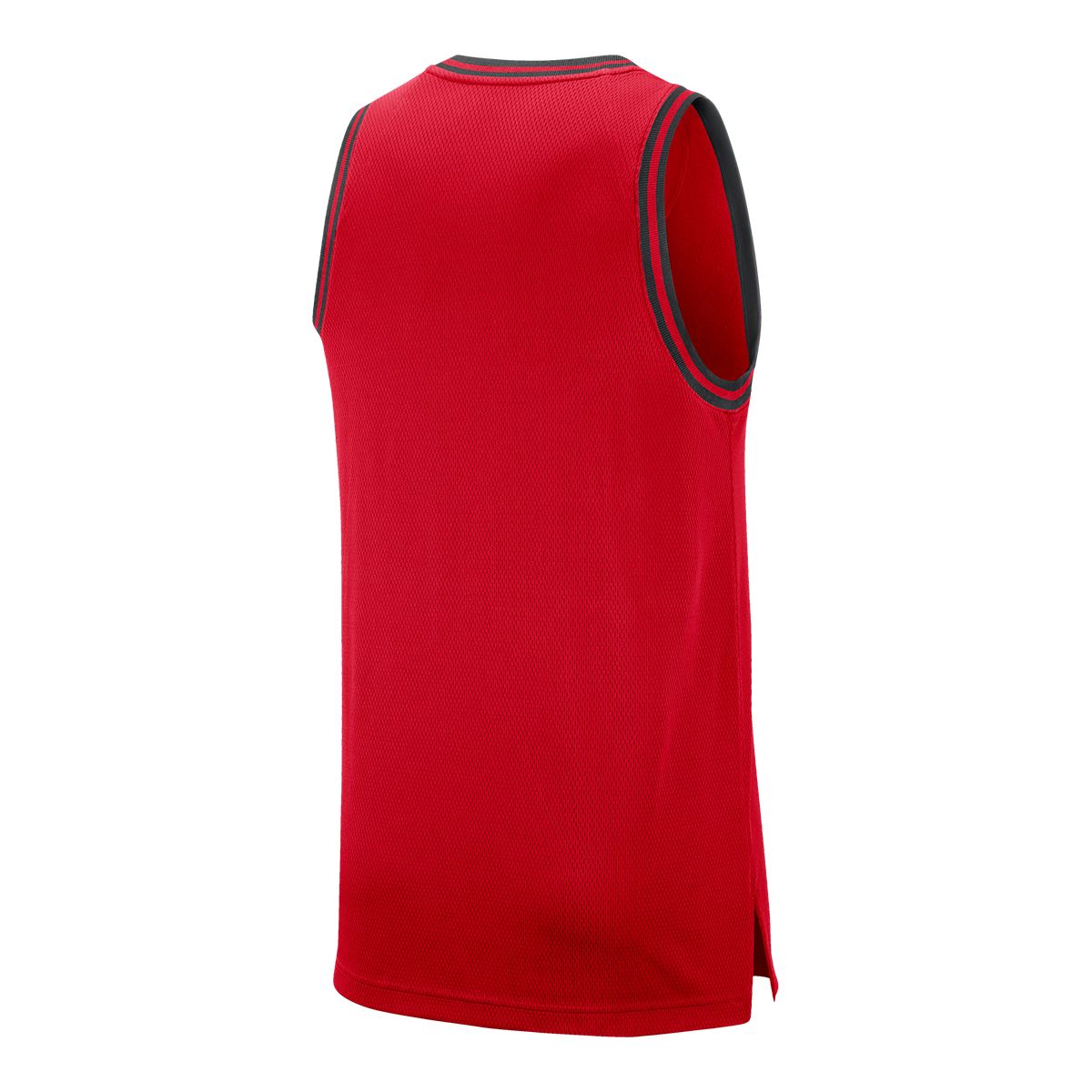 Toronto Raptors Nike DNA Team Tank