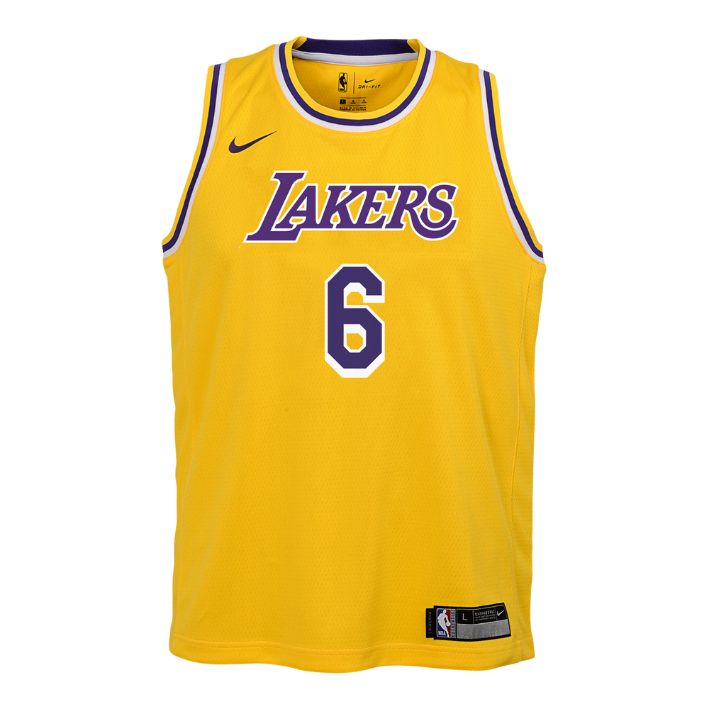 Sportchek nike youth los angeles lakers james city edition replica purple  jersey