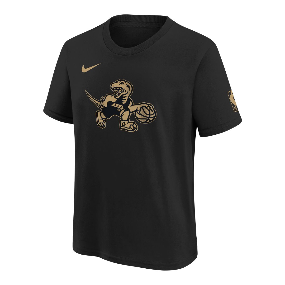 Youth Toronto Raptors Nike Mixed Tape Essential Logo T Shirt