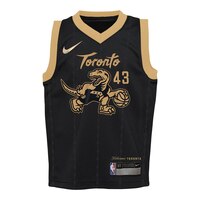 Toronto Raptors Nike Kids' Pascal Siakam City Edition Basketball Jersey, NBA Front_Flat