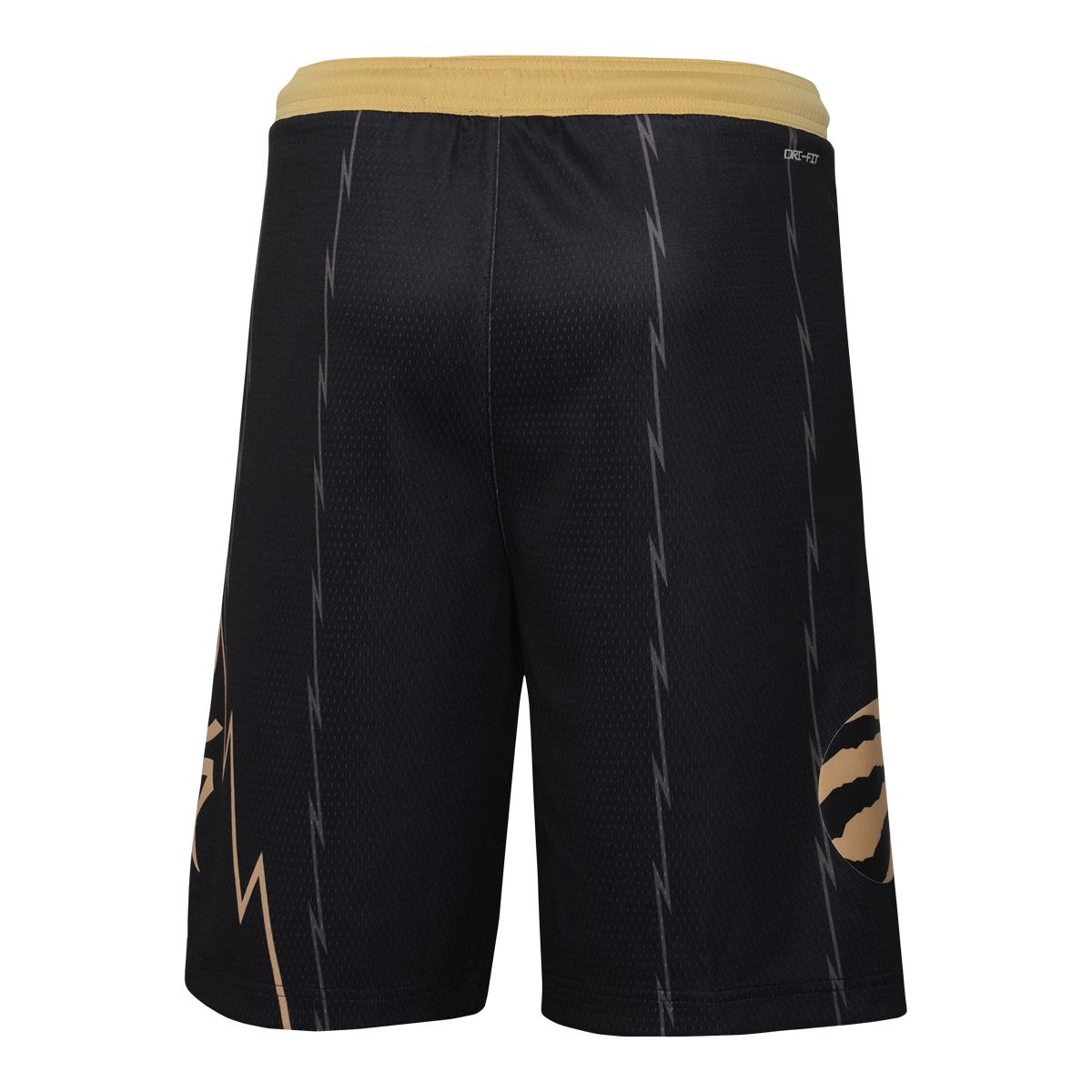 Youth Toronto Raptors Nike Mixed Tape City Edition Swingman Shorts