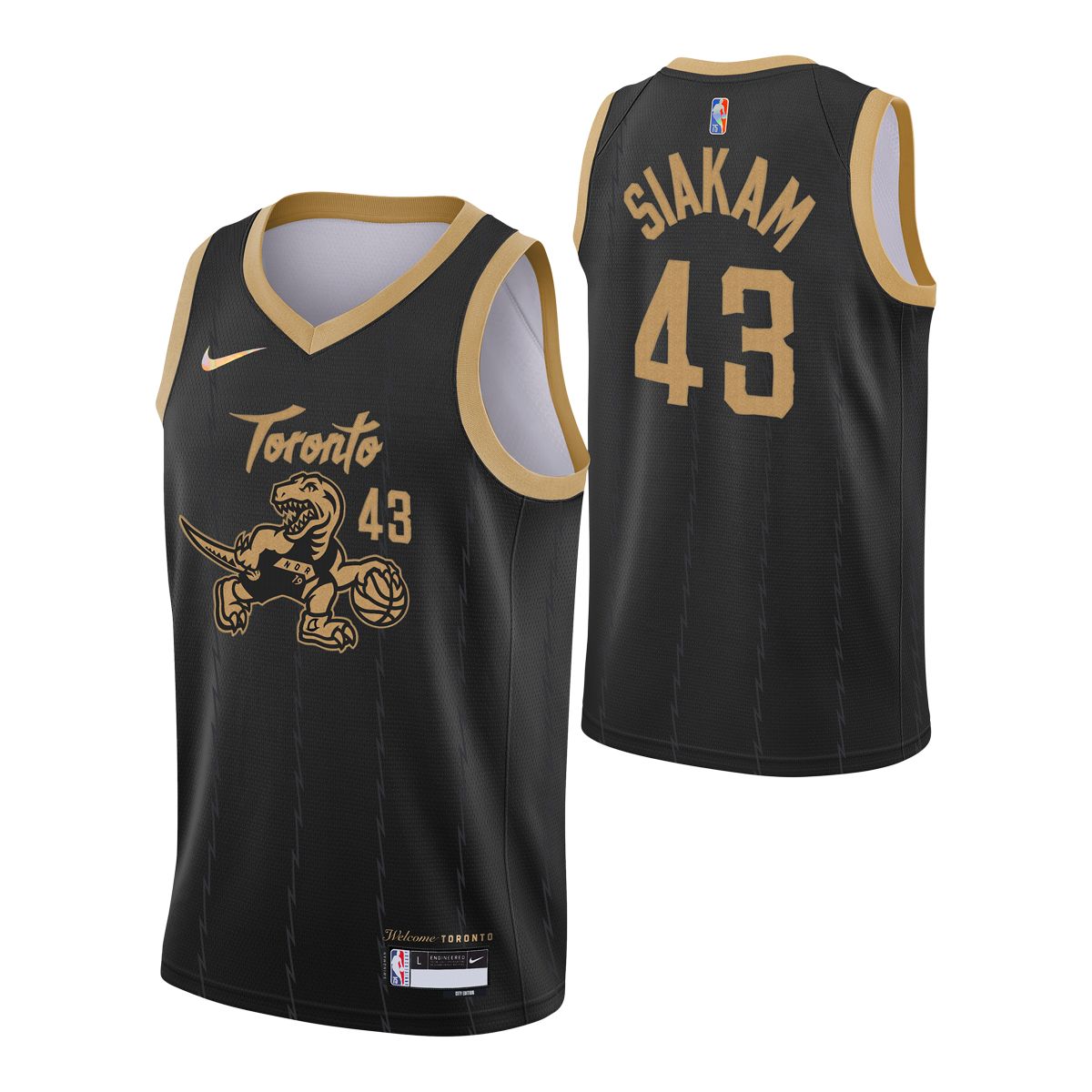 Toronto Raptors Nike Men's Pascal Siakam Association Edition Basketball  Jersey, NBA