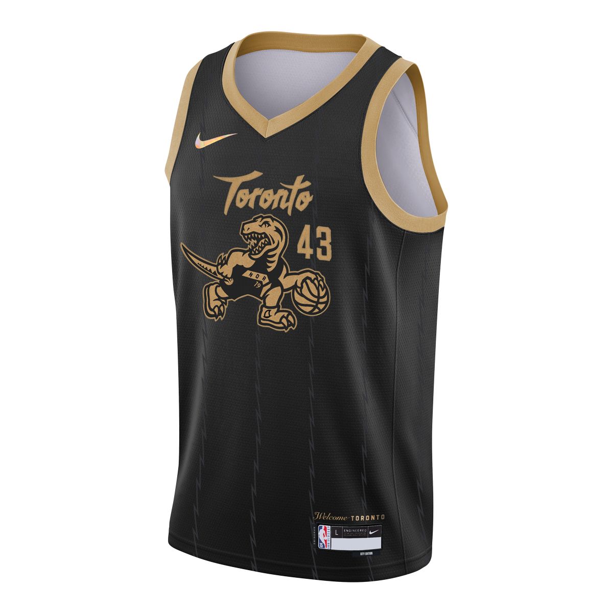 Toronto Raptors Nike Kids' Pascal Siakam City Edition Basketball Jersey, NBA
