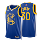 Buy NBA Swingman Jersey LeBron James LA LAKERS Icon for N/A 0.0 on