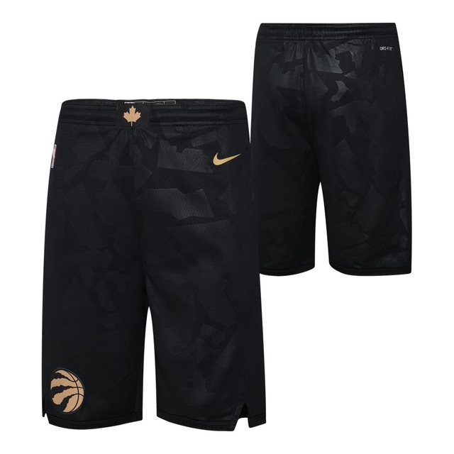 Youth Toronto Raptors Nike City Edition Swingman Shorts