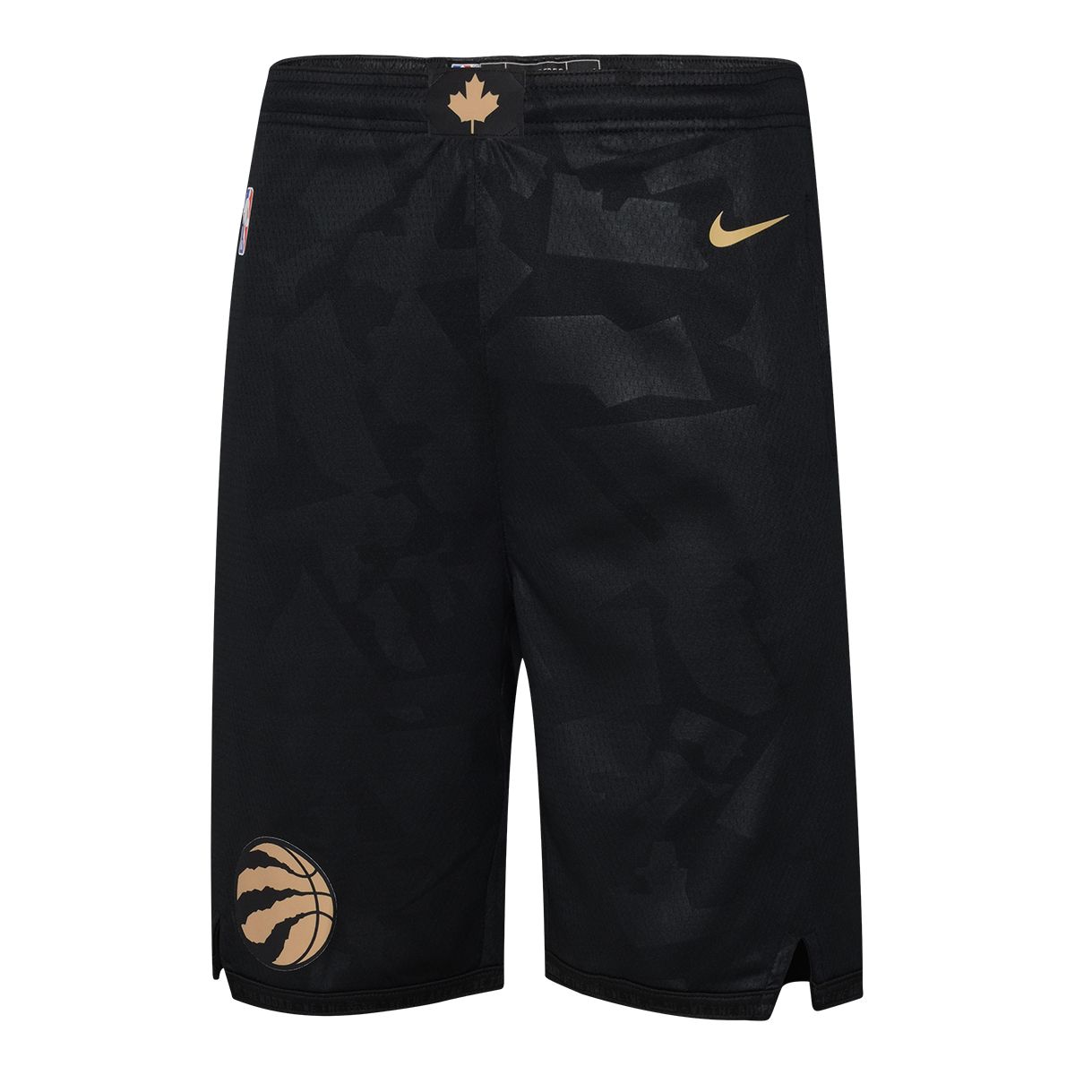 Youth Toronto Raptors Nike City Edition Swingman Shorts