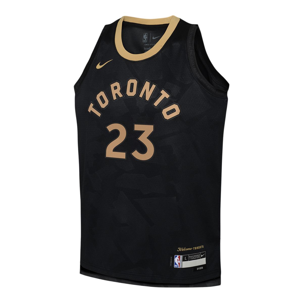 Youth Toronto Raptors Nike Fred VanVleet City Edition Jersey