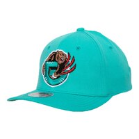 Memphis Grizzlies Hardwood Classics Team Ground Stretch Snap-Back Cap Front_Angled_Left