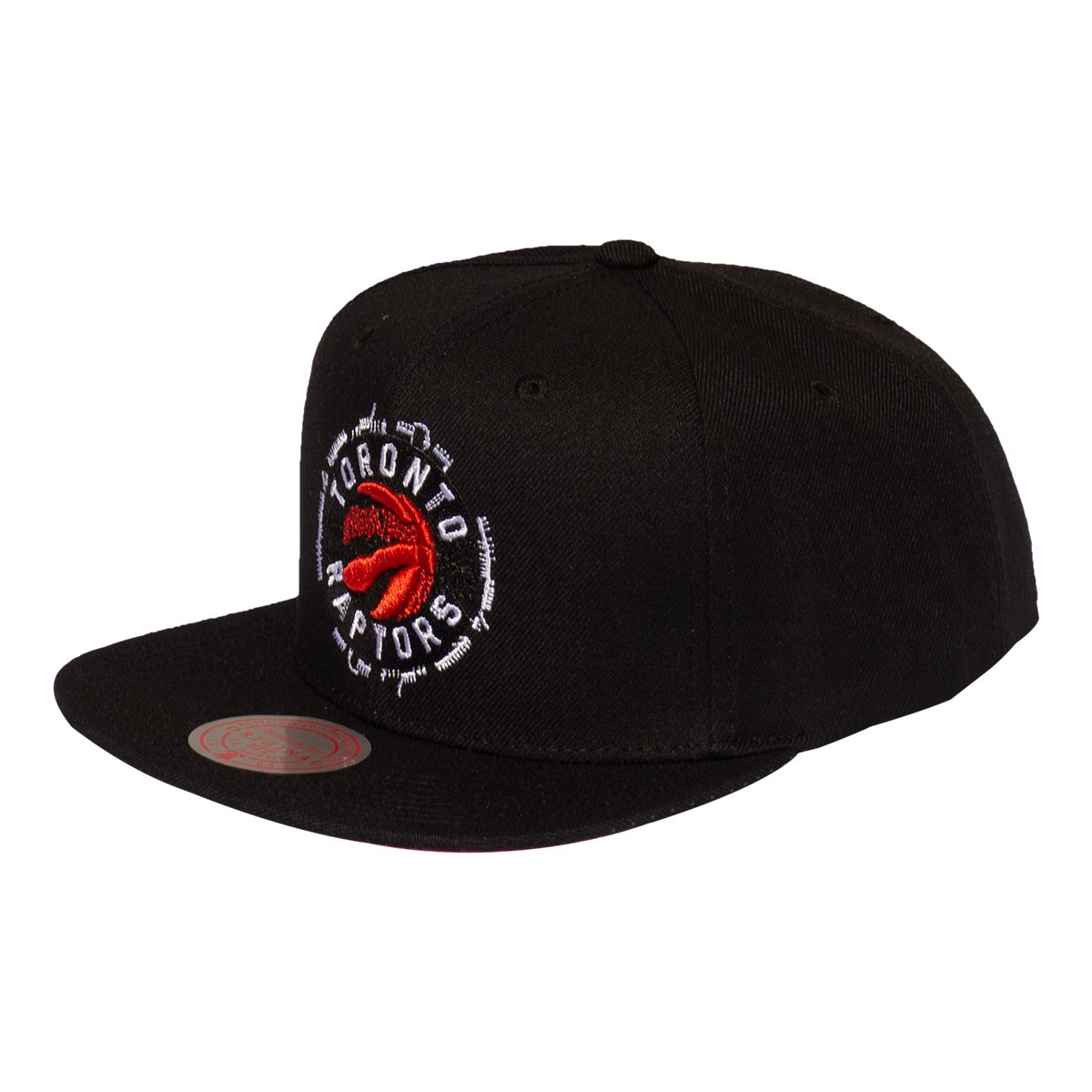 Toronto Raptors Embroidery Glitch Snap-Back Cap