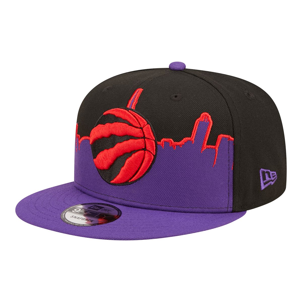 Tri Cycle Fitted Hat Toronto Raptors