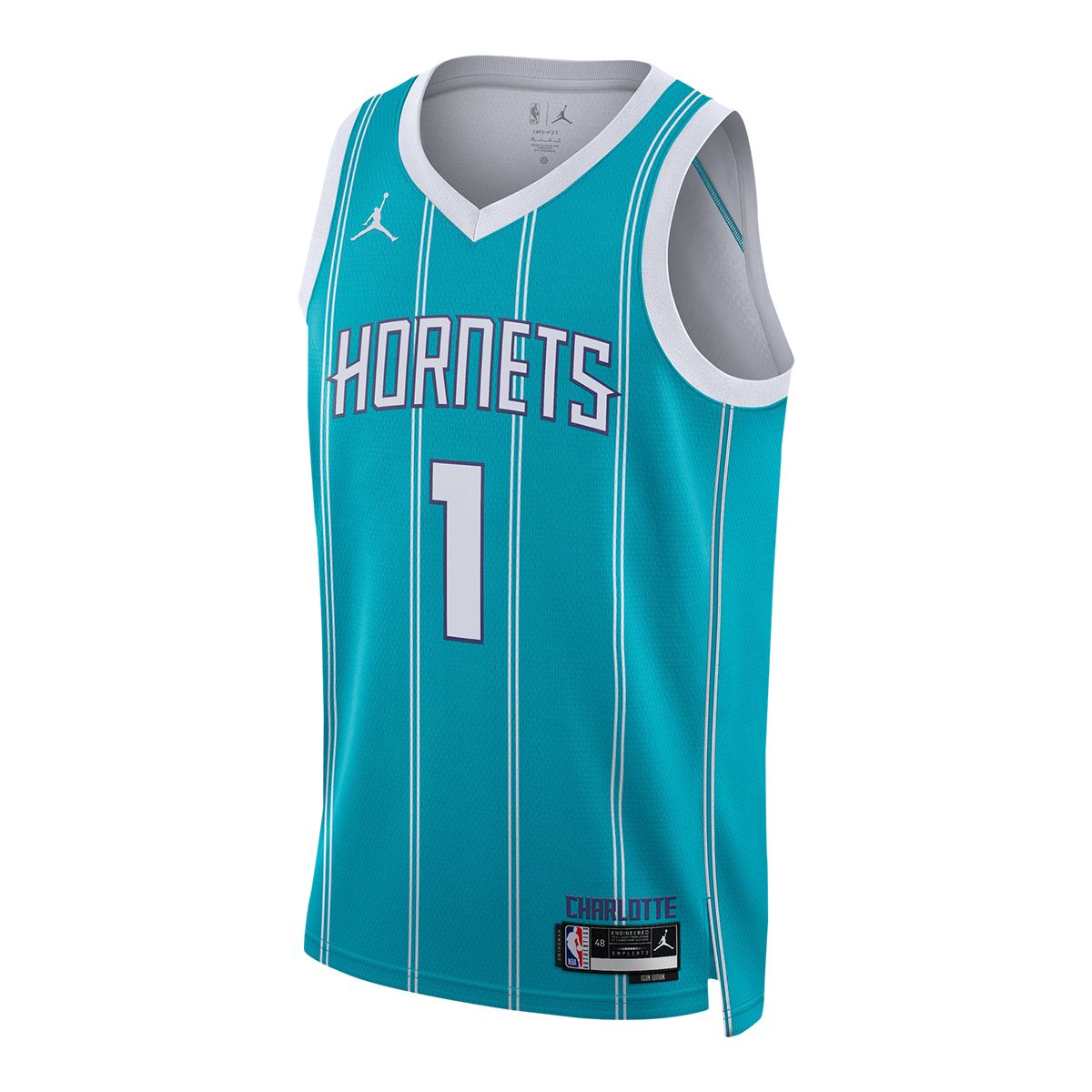 Charlotte Hornets Nike Icon Swingman Jersey