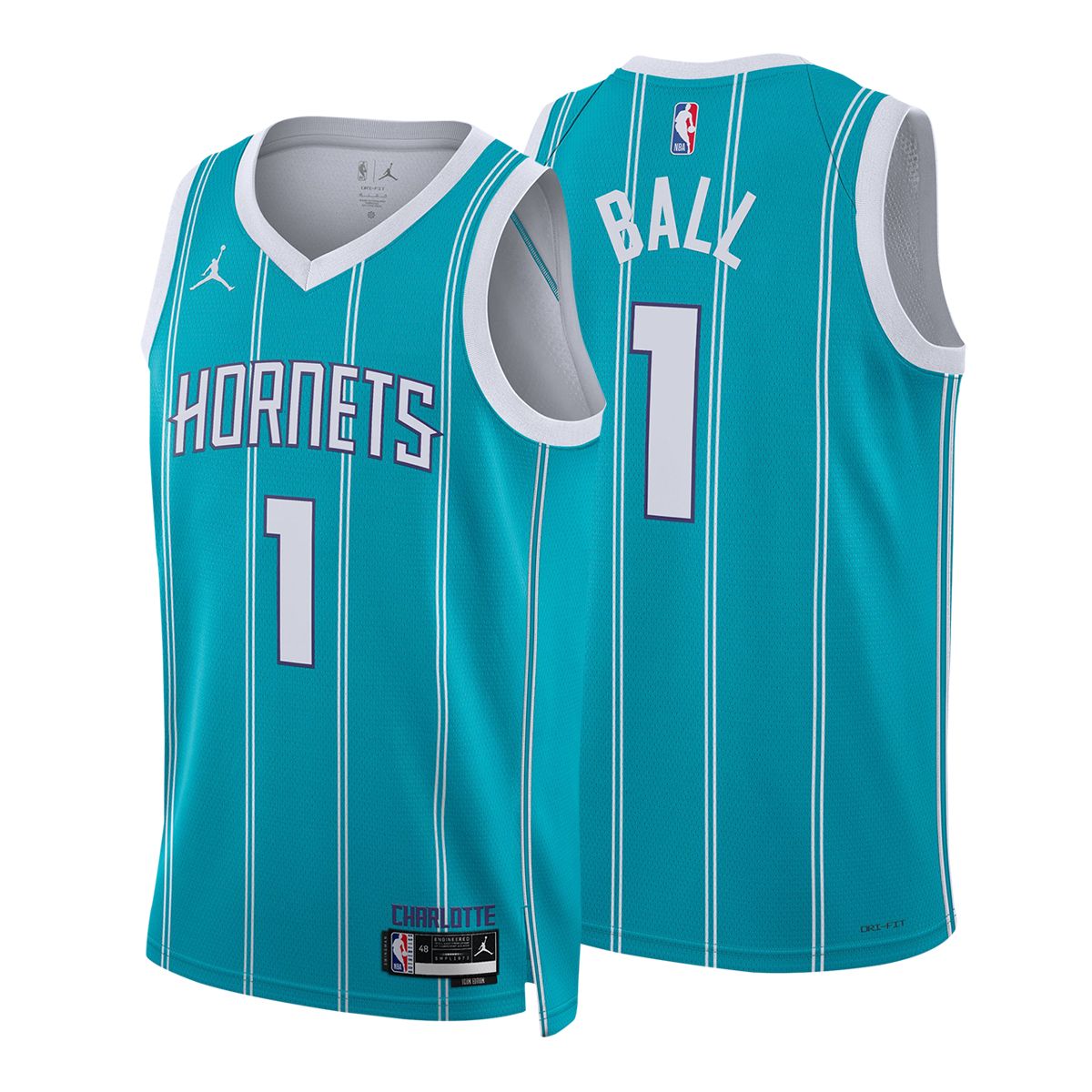 Charlotte Hornets Nike Icon Swingman Jersey