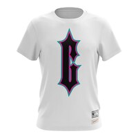 Memphis Grizzlies Mitchell & Ness Hardwood Classics Tripstar T Shirt Front_Flat