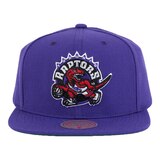 Toronto Raptors Mitchell & Ness Hardwood Classics Team Ground 2.0 Snapback Cap Front_Flat