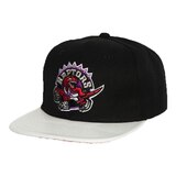Toronto Raptors Mitchell & Ness Hardwood Classics SSBSTS Snapback Cap Front_Three_Fourths_Angled_Left