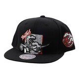 Toronto Raptors Mitchell & Ness Hardwood Classics Tough Skin Snapback Cap Front_Three_Fourths_Angled_Left
