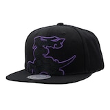 Toronto Raptors Mitchell & Ness Hardwood Classics Dynamic Snapback Cap Front_Three_Fourths_Angled_Left