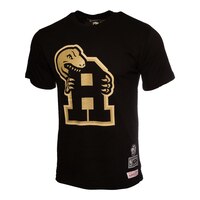 Toronto Raptors Mitchell & Ness Hardwood Classics Graduation T Shirt Front_Angled_Left