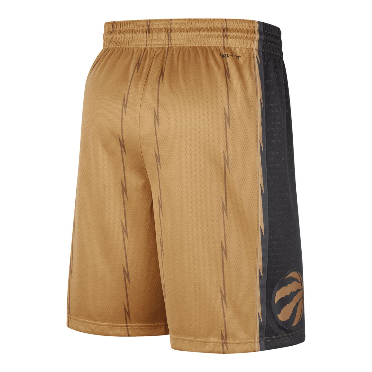 Toronto Raptors Nike City Edition Swingman Shorts