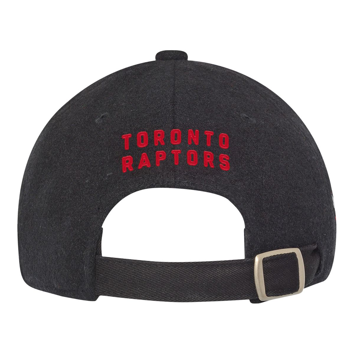Youth Toronto Raptors NBA Legacy Wooly Cap