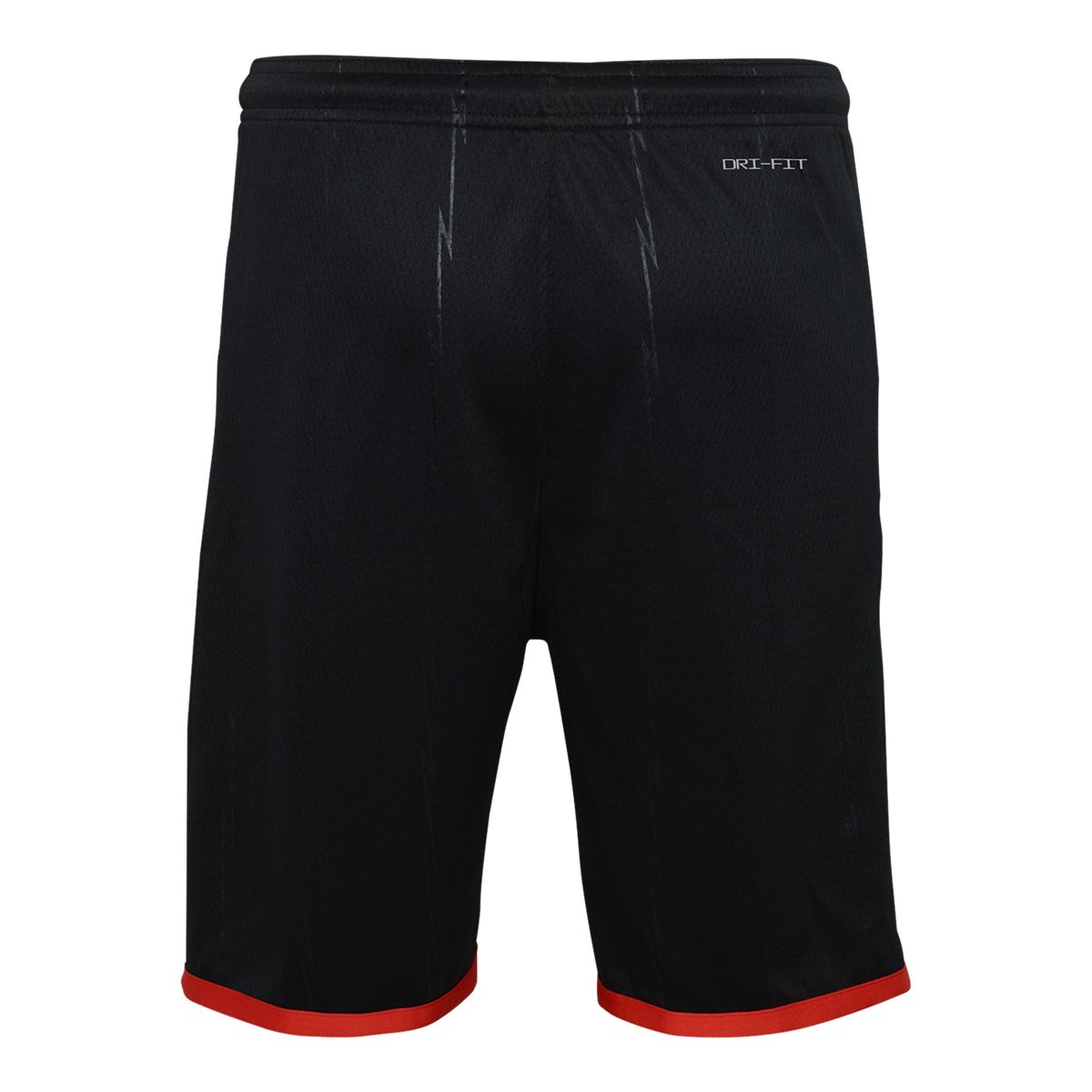 Toronto Raptors Nike Youth Statement Shorts