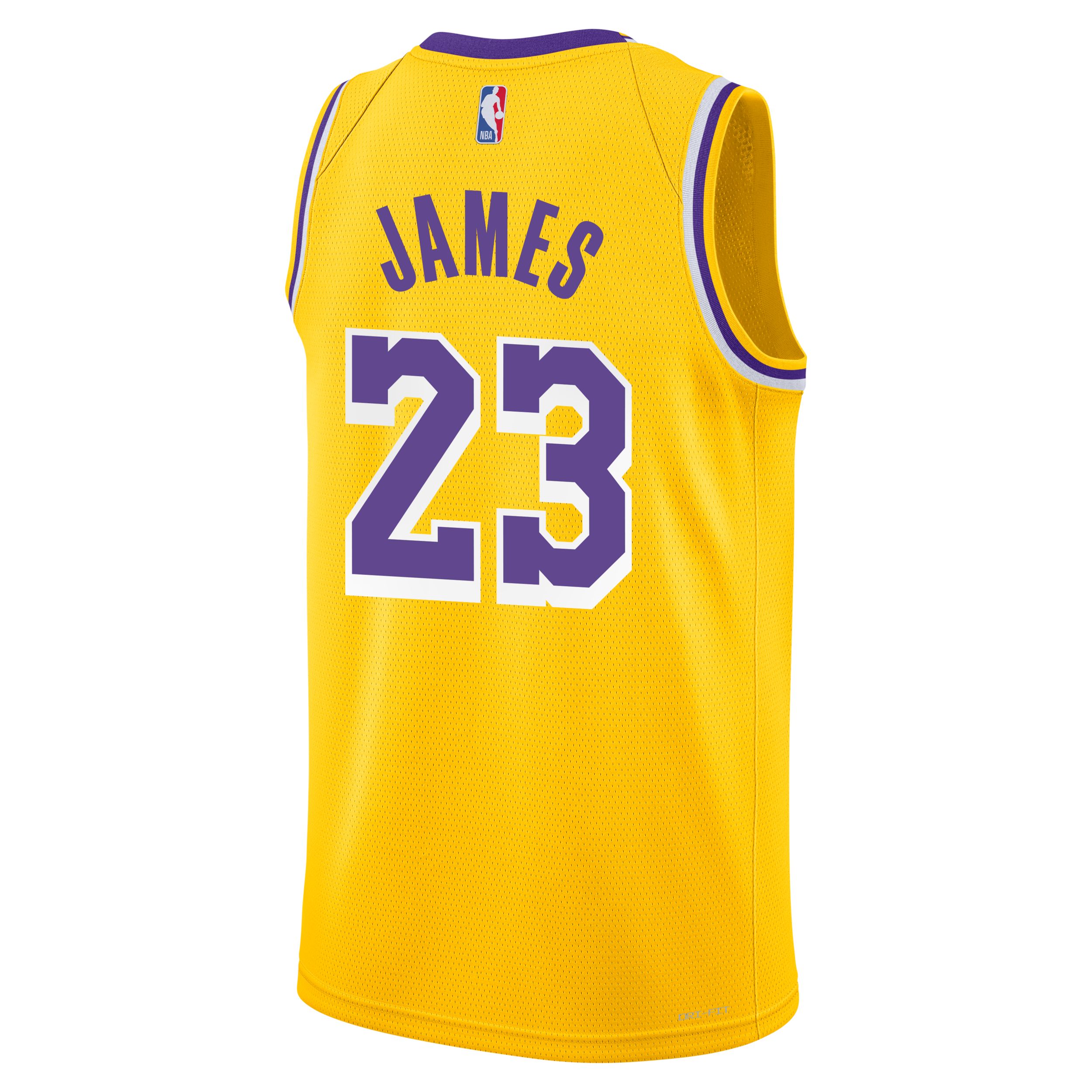Youth Los Angeles Lakers Nike LeBron James Icon Swingman Jersey