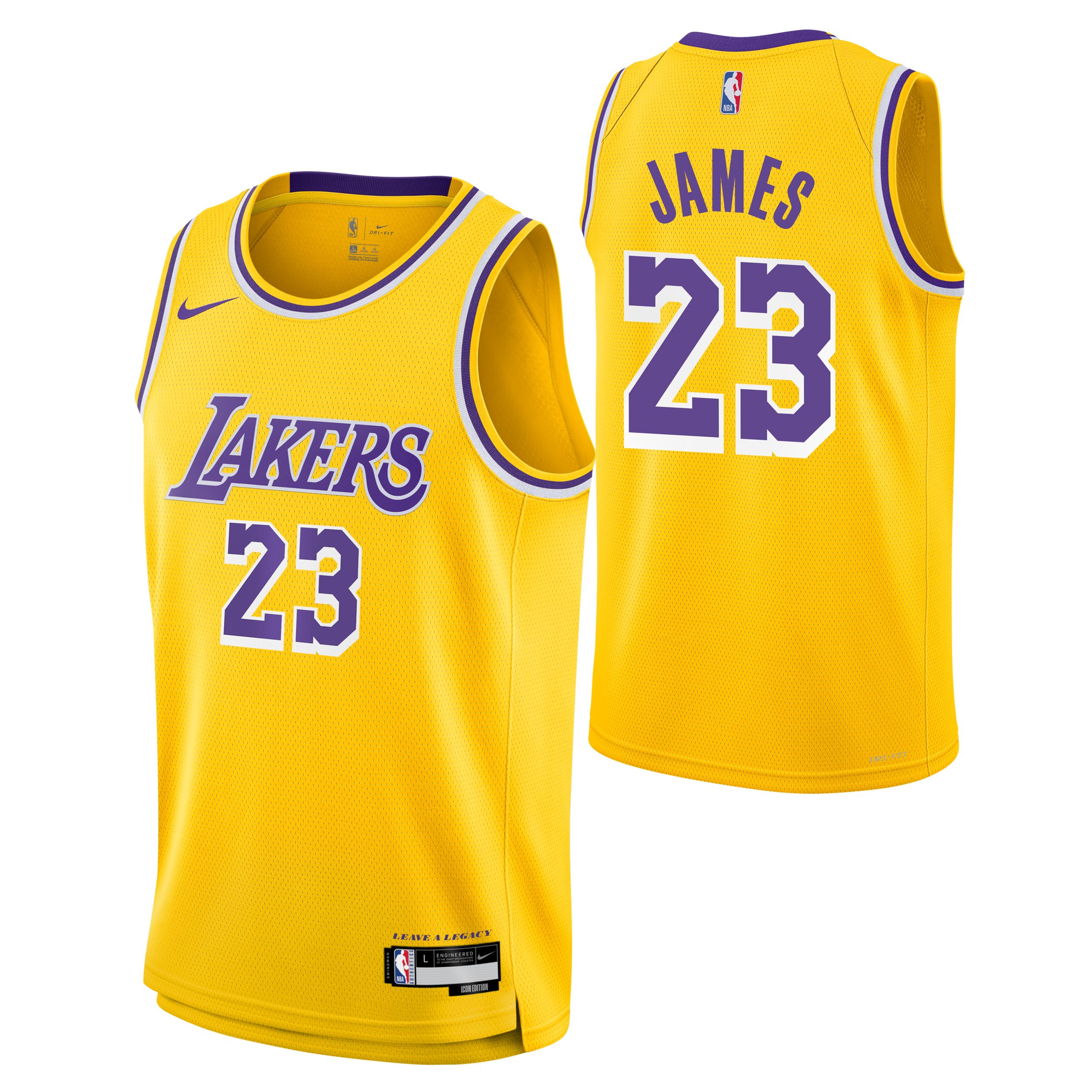 Youth Los Angeles Lakers Nike LeBron James Icon Swingman Jersey