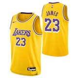 Youth Los Angeles Lakers Nike LeBron James Icon Swingman Jersey Composite_or_Mixed