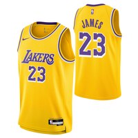 Youth Los Angeles Lakers Nike LeBron James Icon Swingman Jersey Composite_or_Mixed