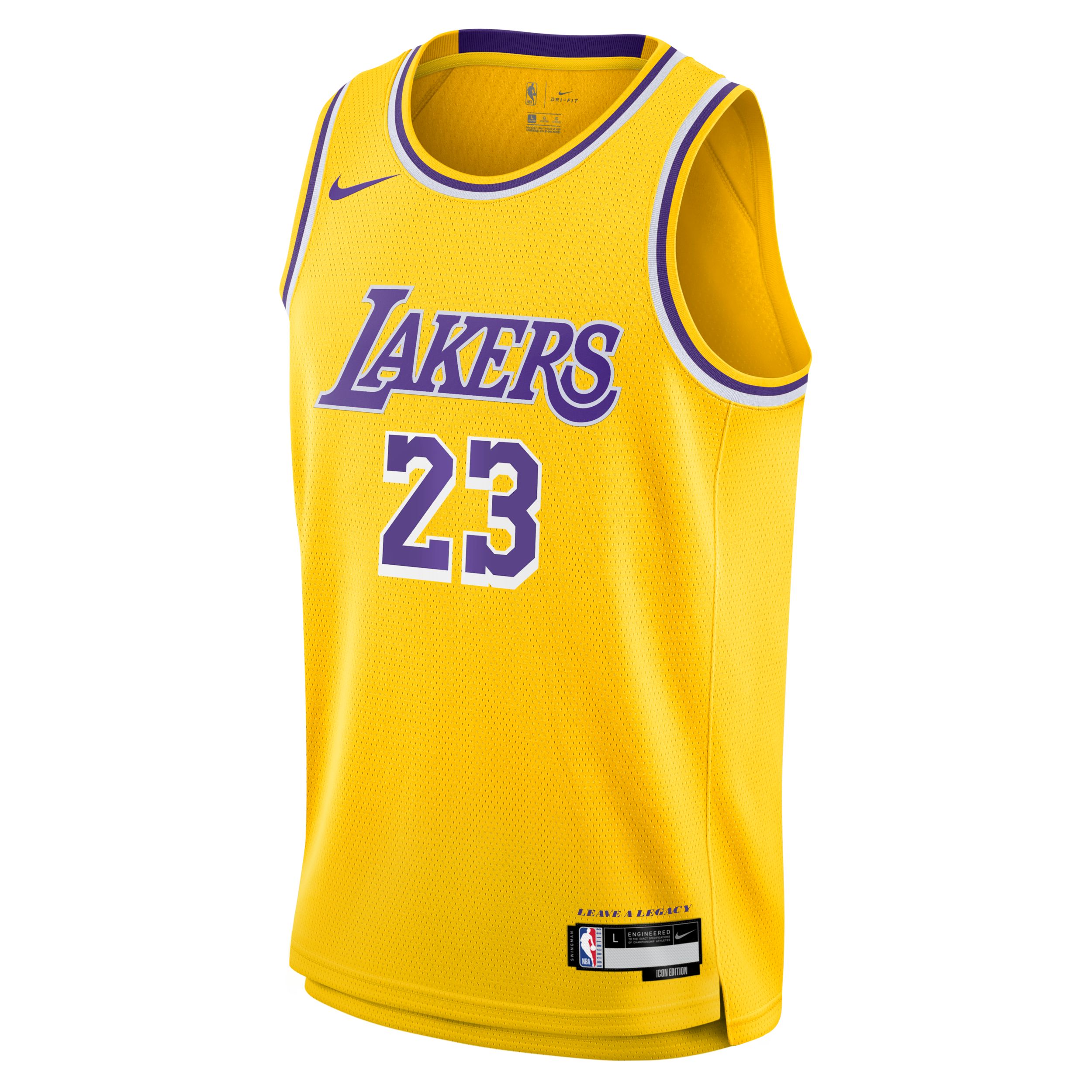 Youth Los Angeles Lakers Nike LeBron James Icon Swingman Jersey