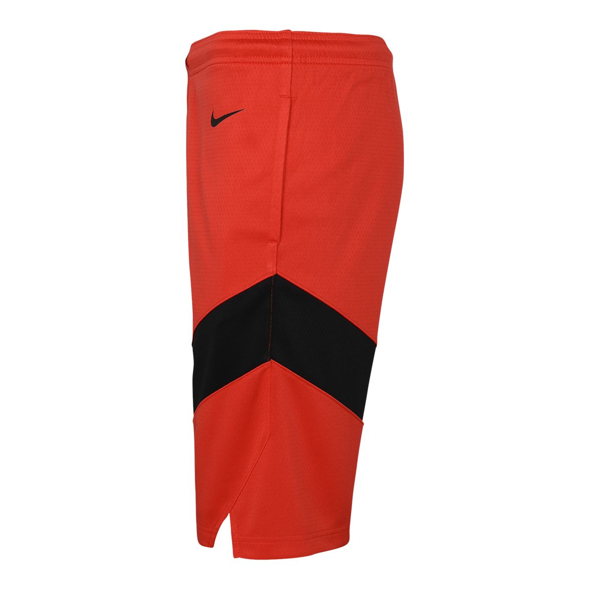 Toronto Raptors Nike Youth Icon Swingman Shorts