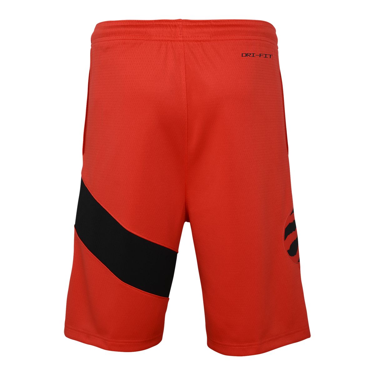 Toronto Raptors Nike Youth Icon Swingman Shorts