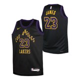 Youth Los Angeles Lakers Nike LeBron James City Edition Swingman Jersey Composite_or_Mixed