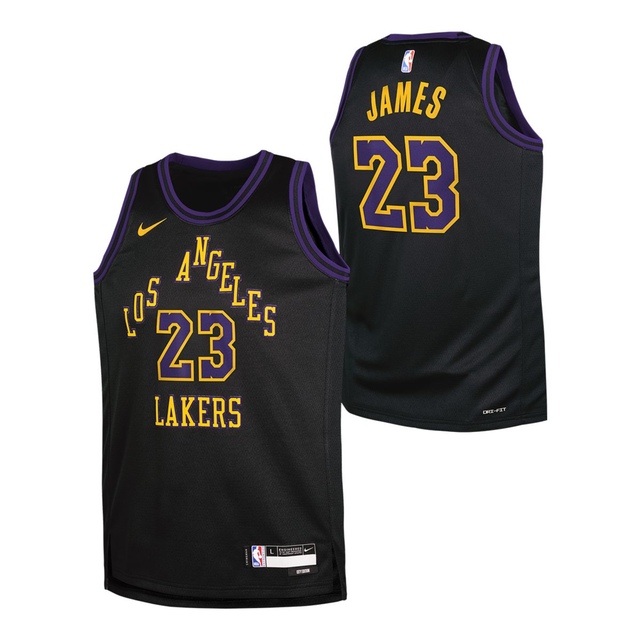 Youth Los Angeles Lakers Nike LeBron James City Edition Swingman Jersey
