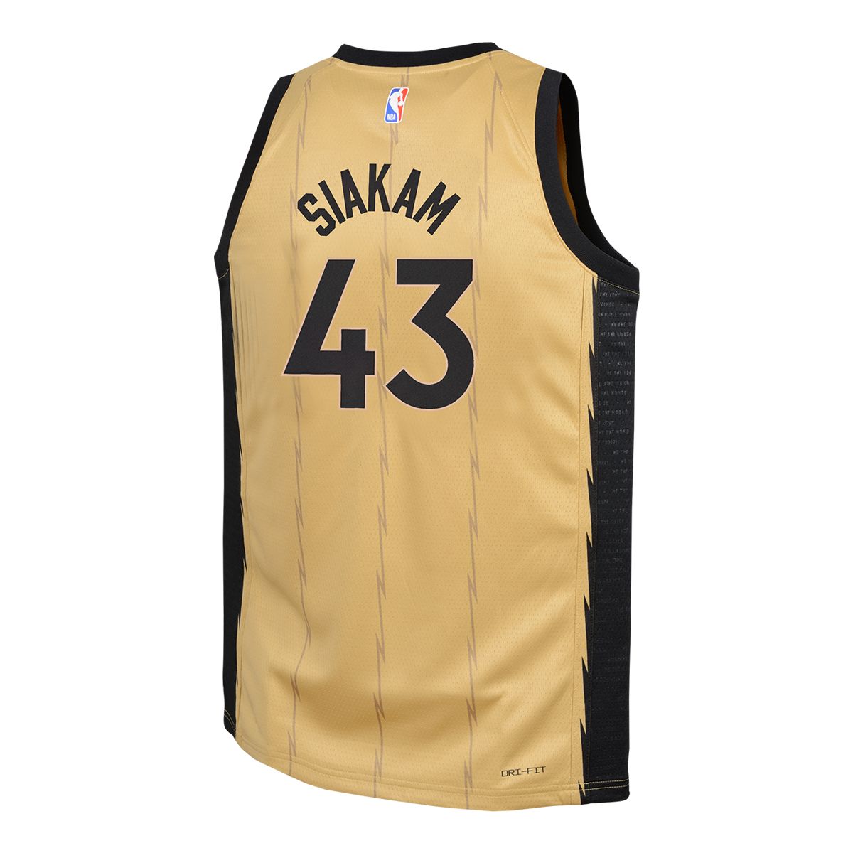 Youth Toronto Raptors Nike Pascal Siakam City Edition Swingman Jersey