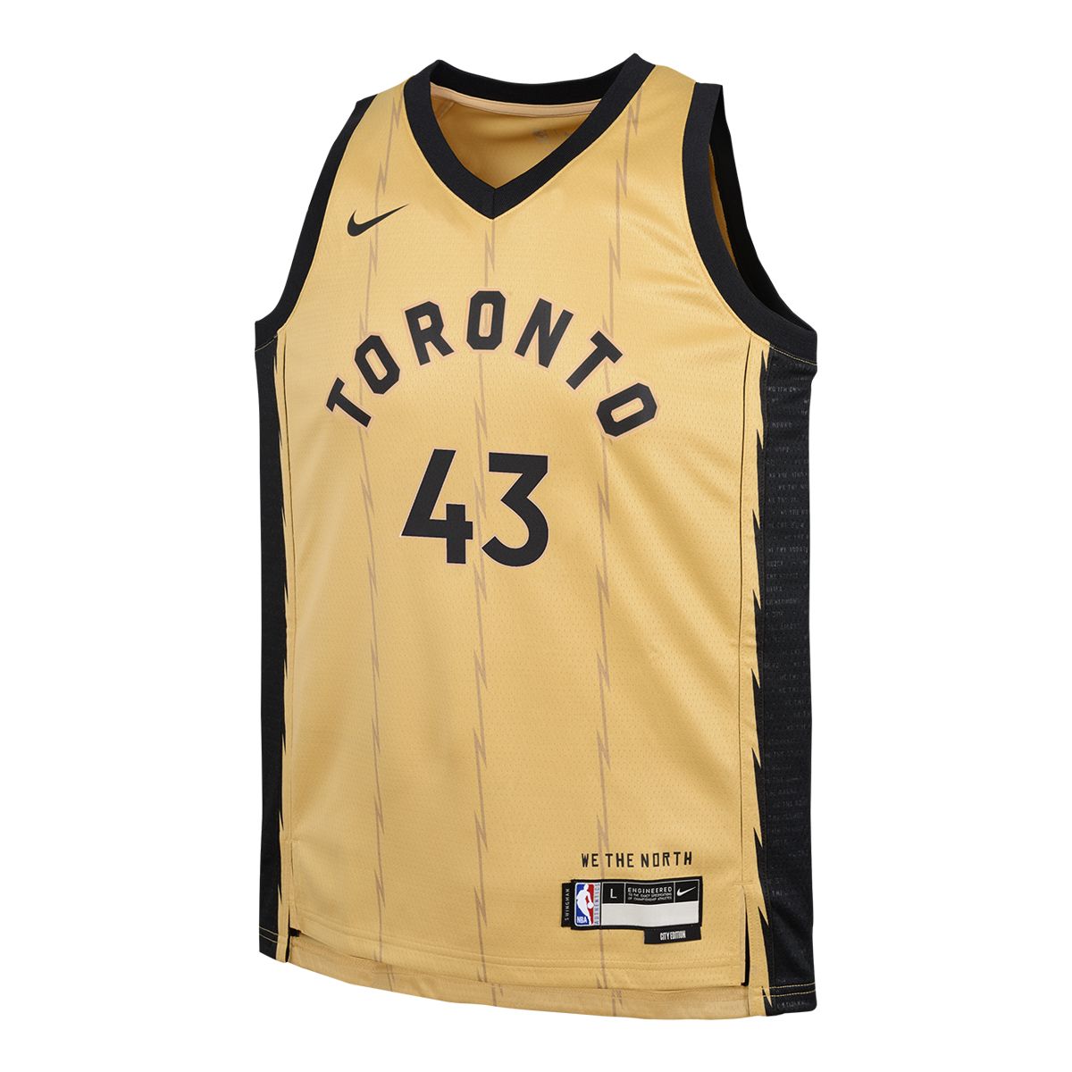 Youth Toronto Raptors Nike Pascal Siakam City Edition Swingman Jersey