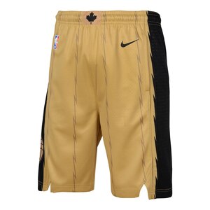 Youth Toronto Raptors Nike City Edition Swingman Shorts