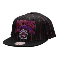 Toronto Raptors Mitchell & Ness HWC Dem Stripes Cap Front_Three_Fourths_Angled_Left