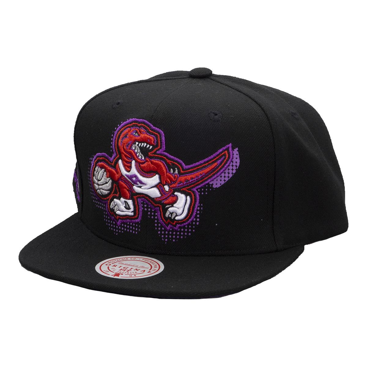 Toronto Raptors Mitchell & Ness HWC Big Face 7.0 Snapback Cap