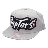 Toronto Raptors Mitchell & Ness HWC Mascot Claw Snapback Cap Front_Angled_Left