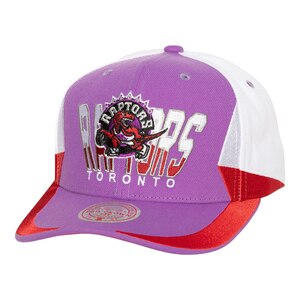Toronto Raptors Mitchell & Ness HWC Retrodome Snapback Cap