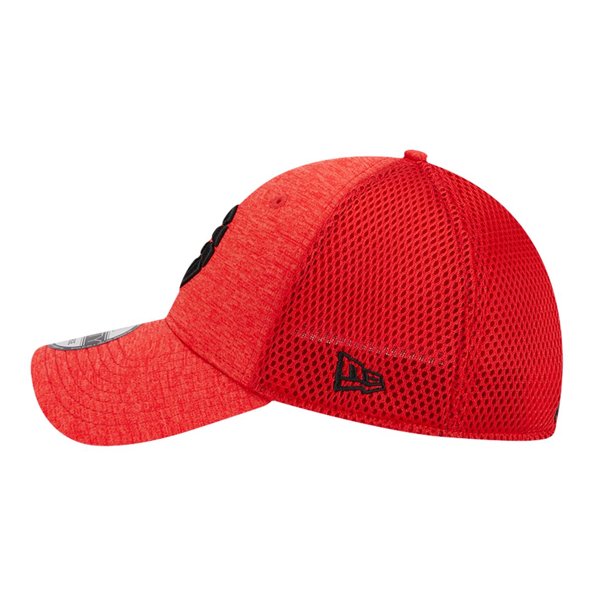 Toronto Raptors New Era Basic 39THIRTY Cap
