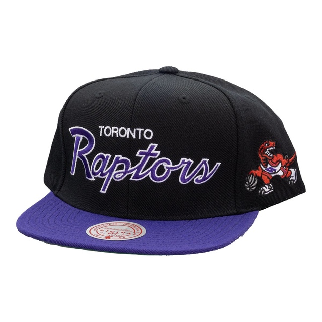 Toronto Raptors Mitchell & Ness Team Script 2.0 Snapback Cap
