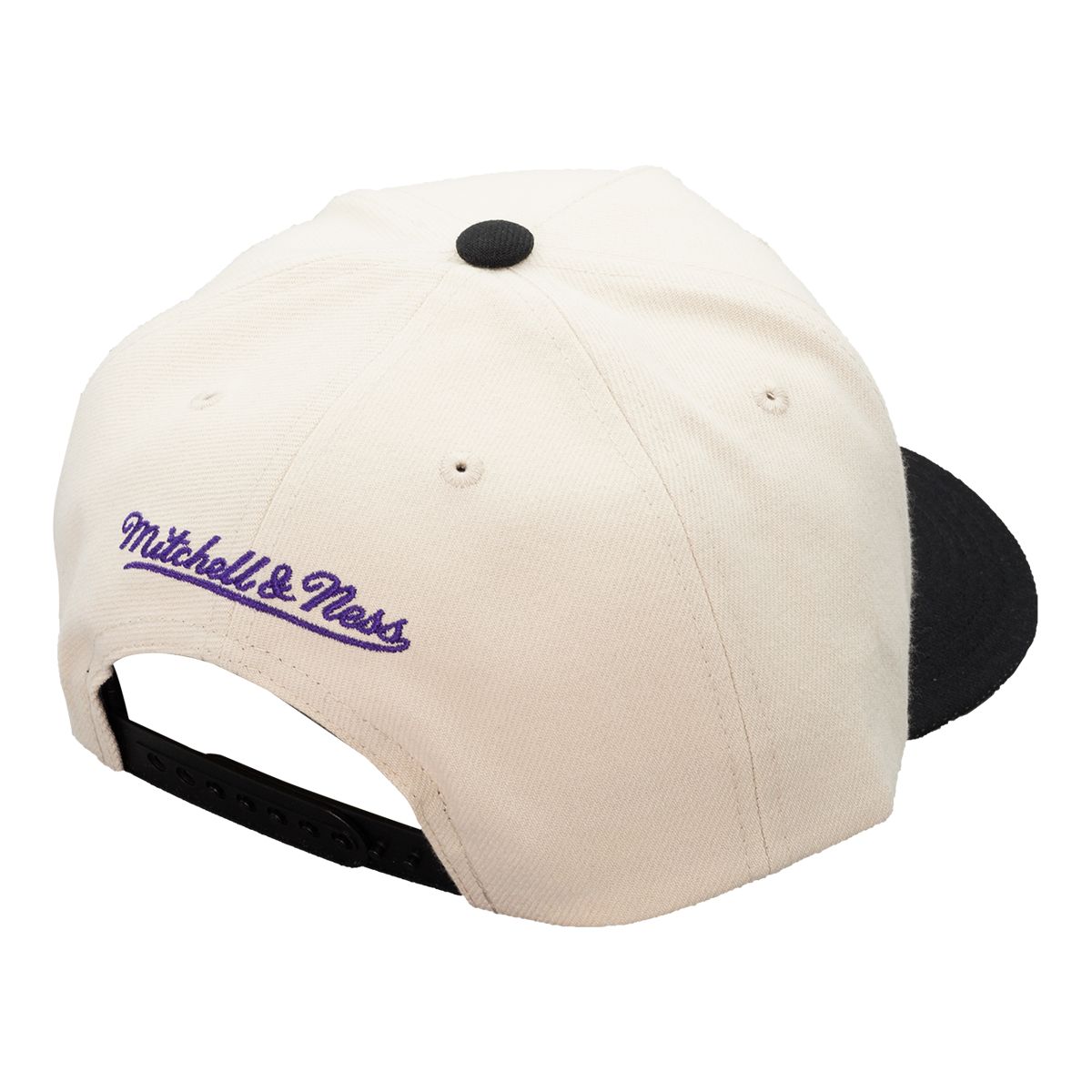 Toronto Raptors Mitchell & Ness World Famous Pro Snapback Cap