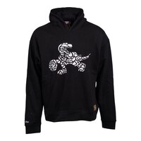 Toronto Raptors Mitchell & Ness Stained Glass Hoodie Front_Flat