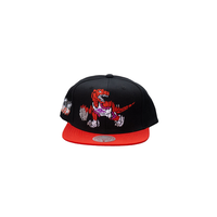 Toronto Raptors Mitchell & Ness Glitch Snapback Cap Front_Angled_Left