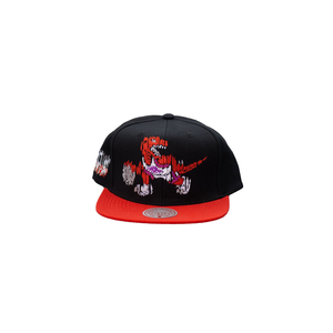 Toronto Raptors Mitchell & Ness Glitch Snapback Cap