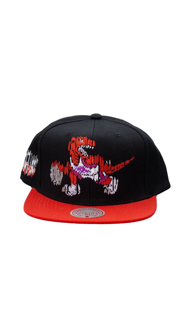 Toronto Raptors Mitchell & Ness Glitch Snapback Cap Front_Angled_Left