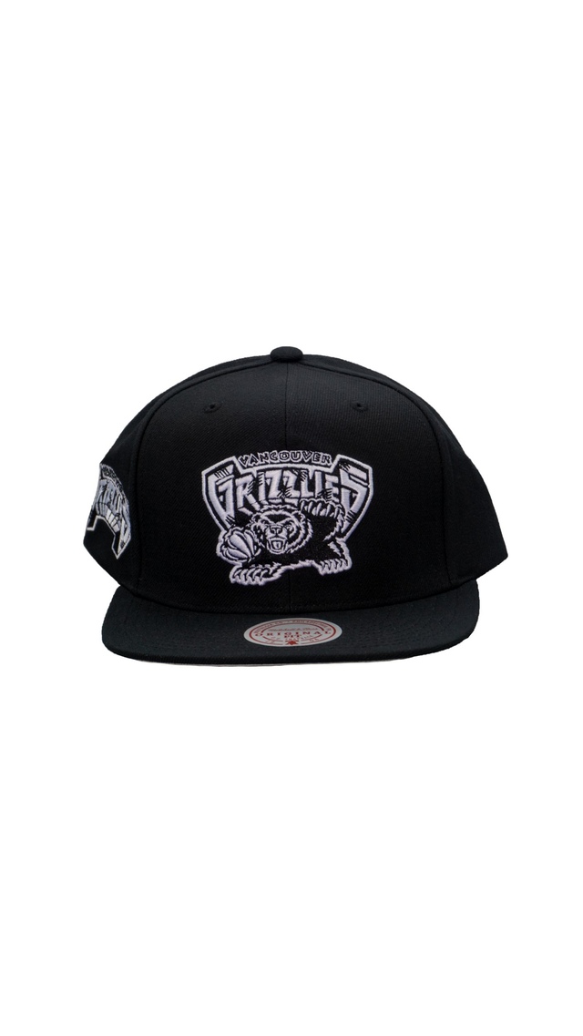 Memphis Grizzlies Mitchell & Ness Hardwood Classics Evergreen Snapback Cap Front_Flat