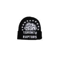 Toronto Raptors Mitchell & Ness Fame Knit Cap Front_Flat